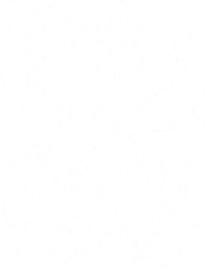 E10